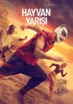 Hayvan Yarışı 2026 Poster