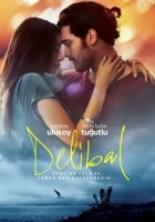 Delibal 2015 Poster