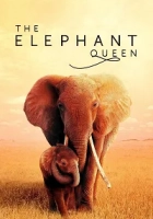 The Elephant Queen 2019 Poster