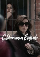 Çıldırmanın Eşiğinde 2025 Poster