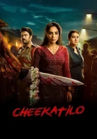 Karanlıkta 2026 Poster