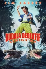 Budala Dedektif 2: Afrika'da Poster