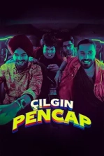 Çılgın Pencap Poster