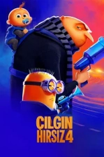 Çılgın Hırsız 4 Poster