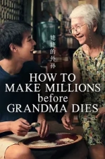 How to Make Millions Before Grandma Dies Poster