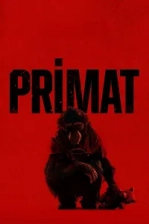Primat Poster
