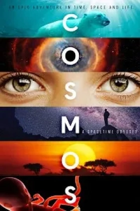 Cosmos Poster