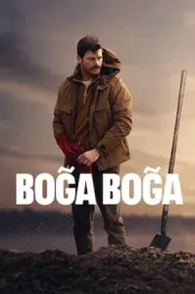 Boğa Boğa Poster
