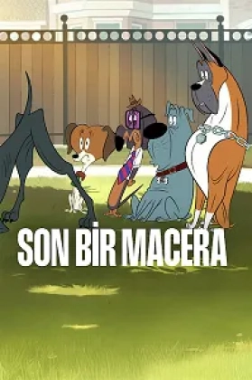 Son Bir Macera Poster