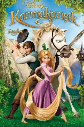 Karmakarışık Poster