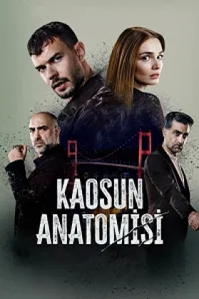 Kaosun Anatomisi Poster