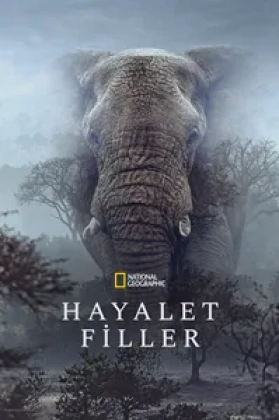 Hayalet Filler Poster