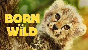 Born to Be Wild 1. Sezon 4. Bölüm Banner