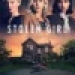 The Stolen Girl Small Poster