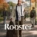 Rooster Small Poster