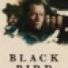 black bird