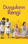 Duyguların Rengi