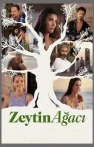 Zeytin Ağacı