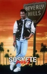 Sosyete Polisi 2