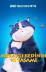 Meraklı Kedinin 10 Yaşamı