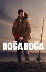 Boğa Boğa