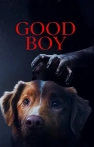 Good Boy