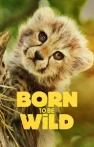 Born to Be Wild
