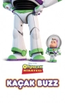 Kaçak Buzz