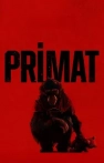 Primat